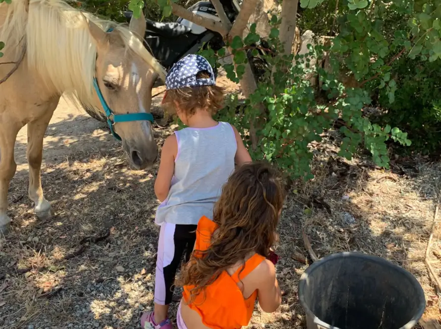 Famiglia con bambini durante passeggiata a cavallo a Muravera, Sardegna