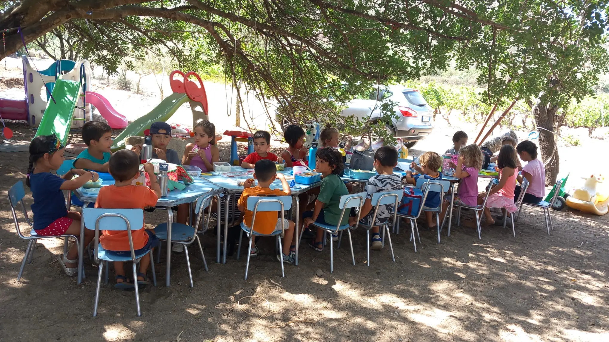 Summer Camp
